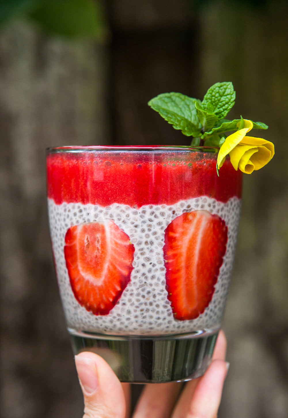 VANILLA CHIA PUDDING WITH BERRY COULIS