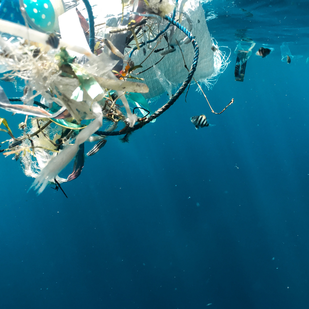 The World's First Plastic-Waste Treaty - Why it Matters